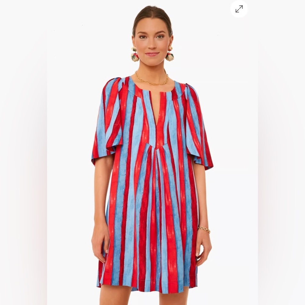 Tuckernuck Pomander Place Painterly Stripe Finley Flutter Sleeve Dress